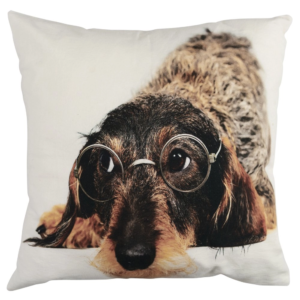 Coussin humoristique teckel lunettes recto