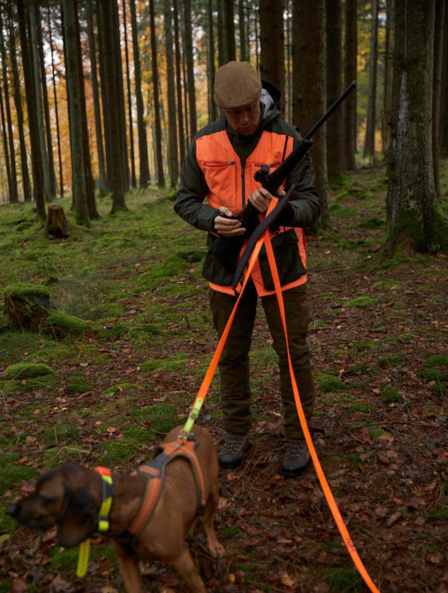 gilet-chasse-chien-chevalier-chasse