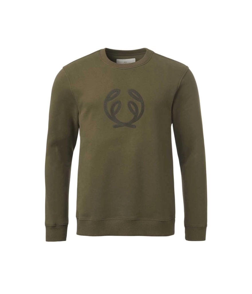 pull-symbol-chevalier-vert